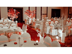 Banquet Chair 691 used in Royal Perak Golf Club