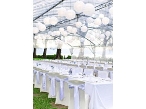 Aluminium Banquet Chair BCA 990 used by Lone Pine Penang for outdoor wedding by the beach